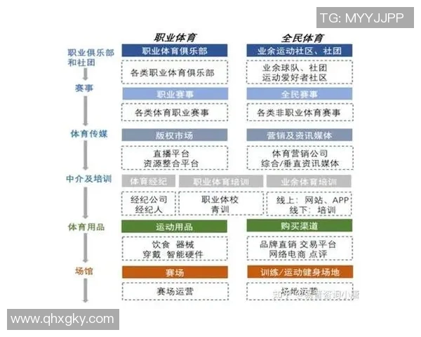 中国体育运动员的成就与发展历程全面解析与未来展望