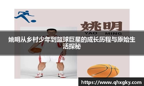 8868体育官网
